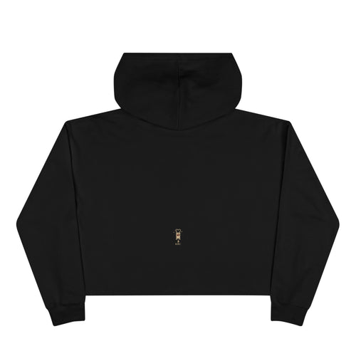 Emotionally Attached to Fictional People Cropped Hoodie